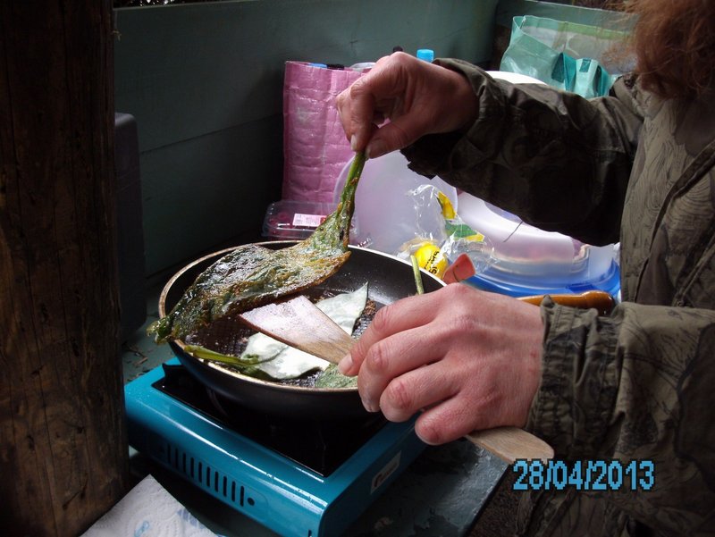 Beignets de consoude 002